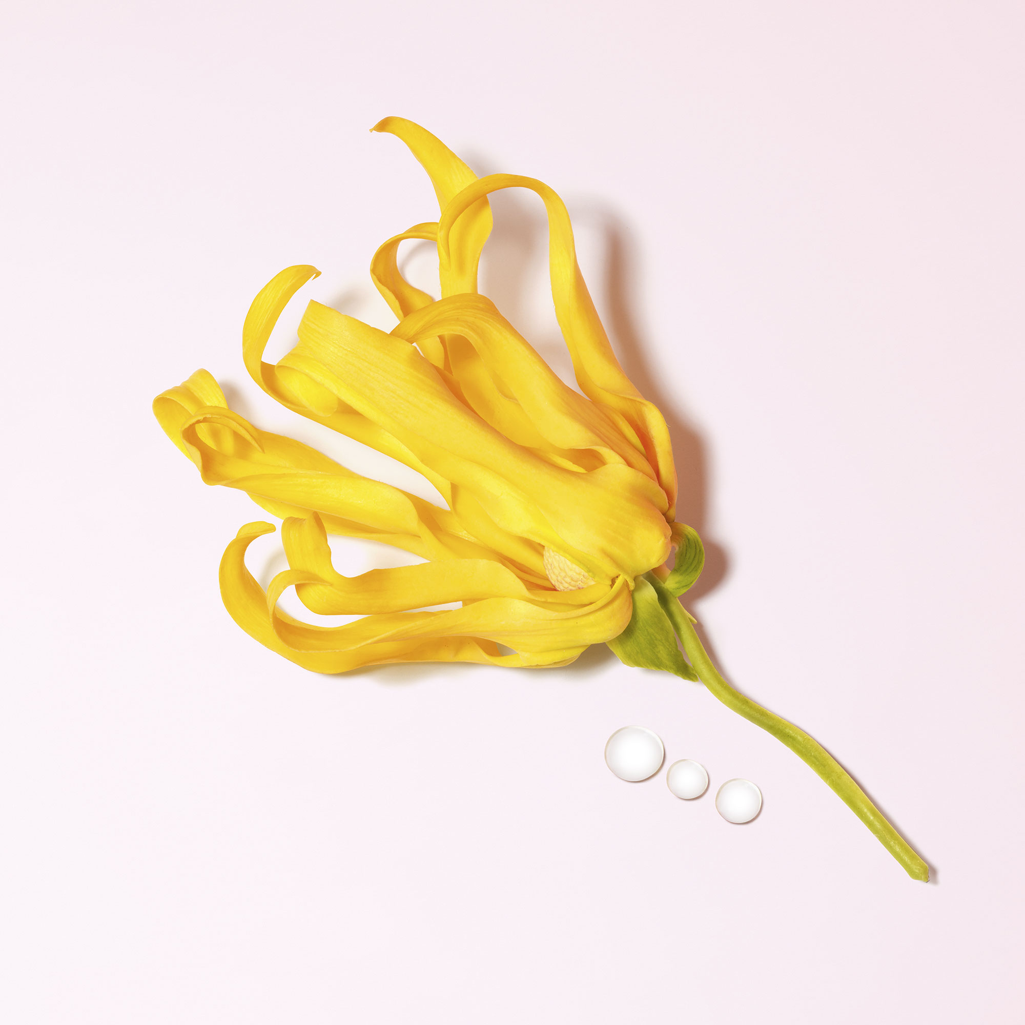 MY WAY YLANGEAU DE PARFUM